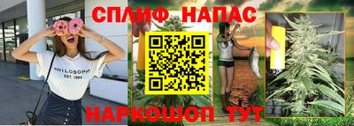 молекула духа Краснознаменск