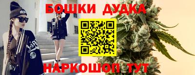 молекула духа Краснознаменск
