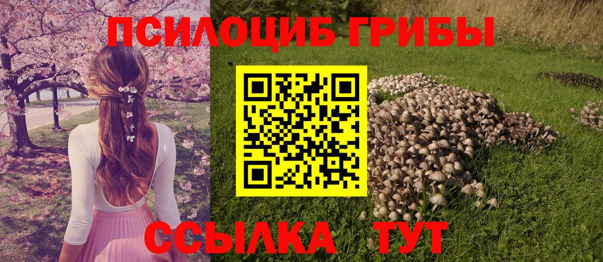 Избербаш  Псилоцибиновые грибы Cubensis  Вход с VPN  Галлюциногенные грибы прущие грибы 