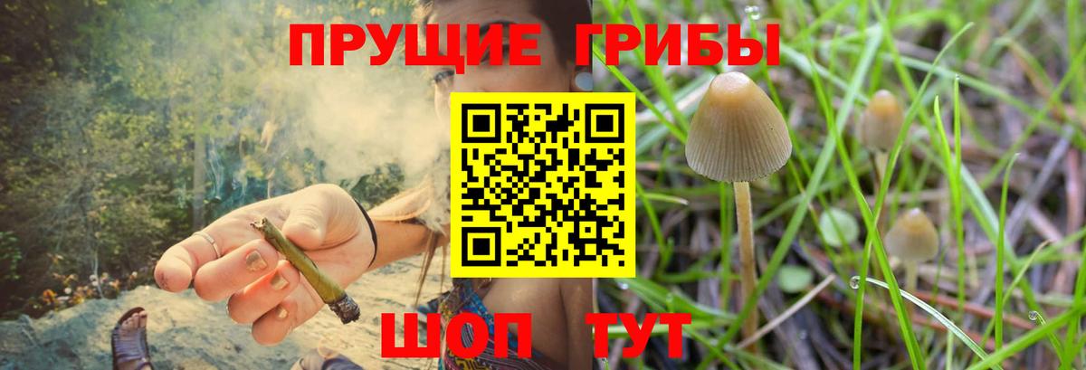 Галлюциногенные грибы GOLDEN TEACHER Избербаш